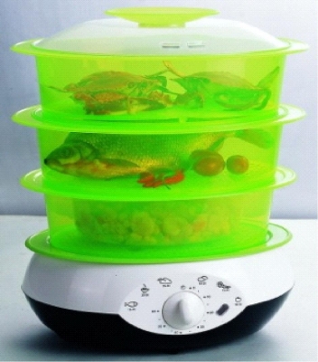 Food Steamer 2